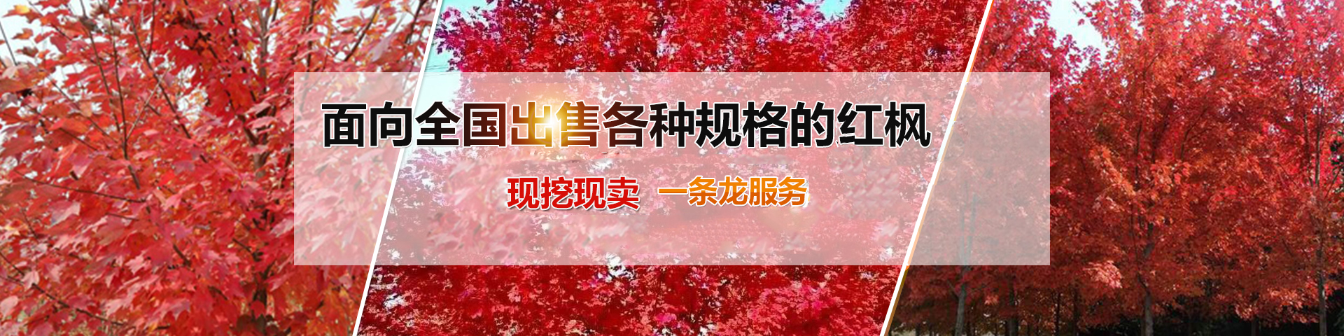 濟(jì)寧銳利特機(jī)械加工有限公司