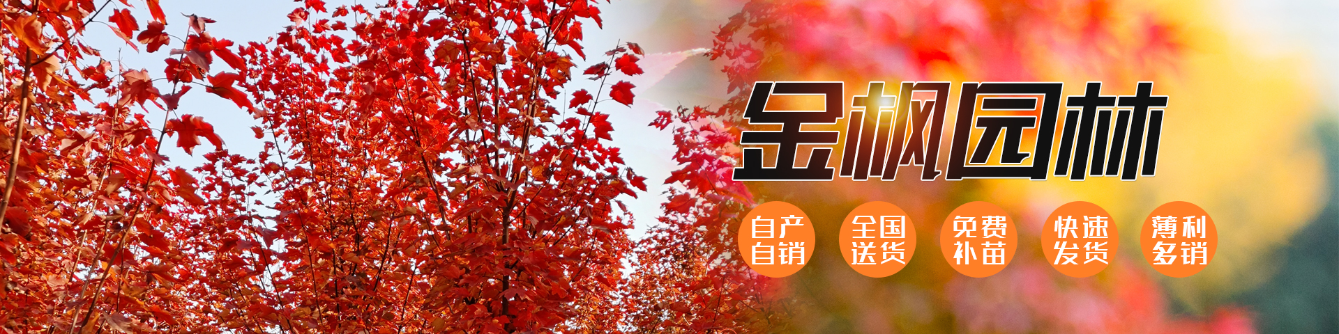 濟(jì)寧銳利特機(jī)械加工有限公司